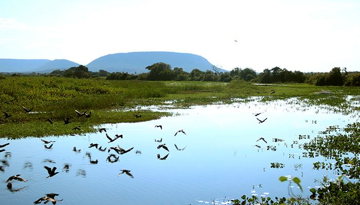 Pescaria pantanal 